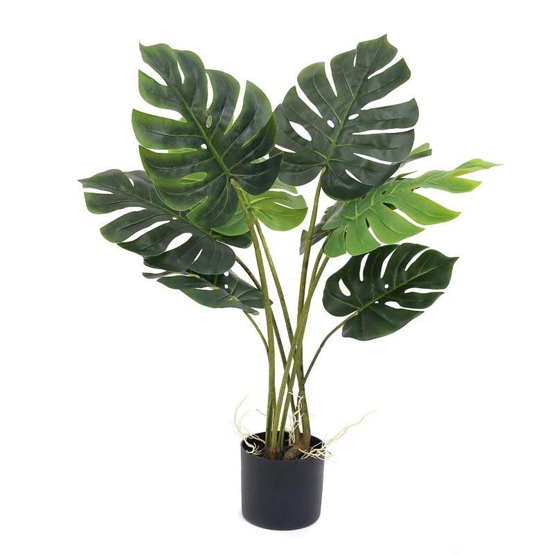 Aké sú výhody simulovaného stromu monstera